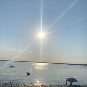 Meet your Posher, Djinni